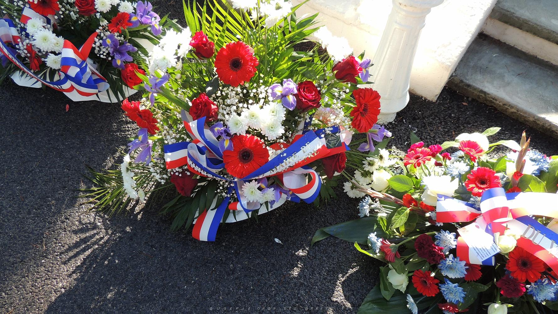 2022 11 01 TOULON HOMMAGE AUX MORTS POUR LA FRANCE CIVILS ET MILITAIRES (93).jpg